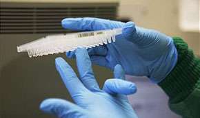 Ученые подсадят ДНК человека в организмы животных. Фото: Getty Images / http://www.mignews.com