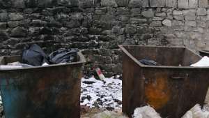 Владивосток завалило снегом и мусором. Фото: РИА Новости