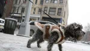 Морозы и снегопад в Нью-Йорке. Фото: РИА Новости