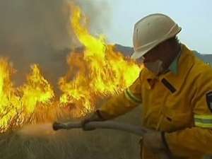 В Австралии горят леса. Фото: Вести.Ru