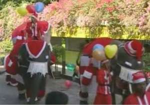 Санта-Клаус с хоботом: тайские слоны дарят школьникам подарки. Фото: РИА Новости