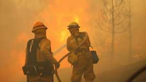 Пожары охватили около 2 тыс гектаров леса в Чили. Фото: РИА Новости