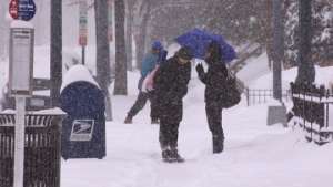 Снегопады в Вашингтоне. Фото: РИА Новости