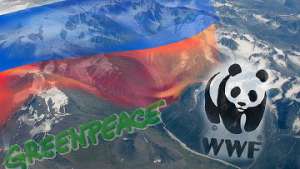 Гринпис и WWF требуют прекратить преследование иркутских экологов. Фото: РИА Новости