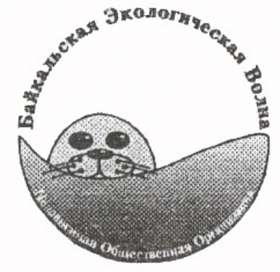 Байкальская экологическая волна. Фото: Greenpeace
