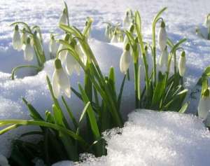 Весна в России. Фото: http://i.ua