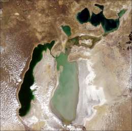 Аральское море. Вид из космоса. Фото: http://ferghana.ru