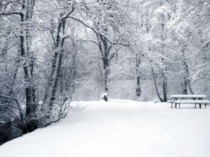 Зима. Фото из открытых источников сети Интернет