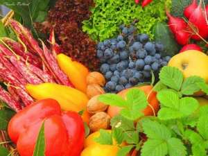Овощи и фрукты. Фото: http://greenkingdom.ru