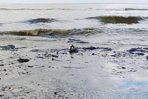 Разлив нефти. Фото: http://spas-spb.ru/