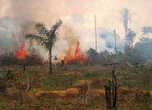Уничтожение тропического леса в бассейне Амазонки для освобождения площадей под сельскохозяйственные угодья. Сведение лесов — важнейшая, после сжигания ископаемого топлива, причина увеличения содержания в атмосфере CO2 и других парниковых газов. Фото: NASA LBA-ECO Project с сайта www.nasa.gov