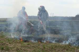 Тушение торфяных пожаров. Фото: http://regnum.ru
