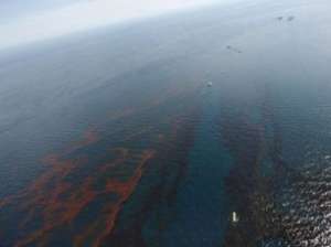 Разлив нефти. Фото: http://topnews.ru/