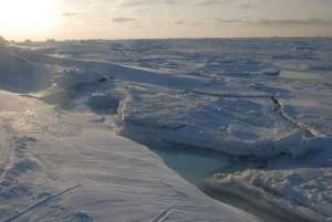 Арктика. Фото: http://www.rusk.ru