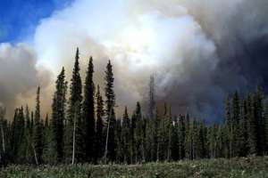 Дым от лесных пожаров. Фото: http://www.hickerphoto.com