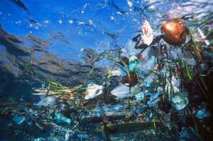 Пластиковый мусор. Океан. Фото: http://x3mblog.ru