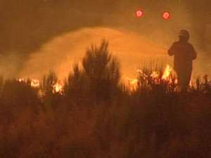 Природные пожары в Колорадо: под контролем 1 очаг из 10. Фото: Вести.Ru