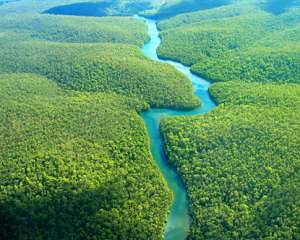 Амазония. Фото: http://www.destination360.com