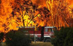 Лесные пожары в Австралии. Фото: http://doseng.org