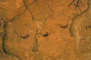 Изображения в пещере Пловцов на юго-западе Египта относятся к тем временам, когда Сахара была не столь засушлива. Фото: http://science.compulenta.ru