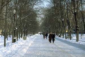 Зима. Фото: http://www.mgls.com