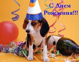 День Рождения собаки. Фото: doggi.ru