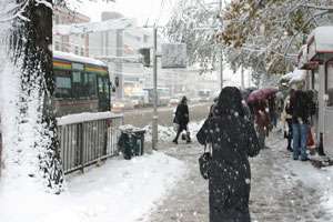 Снегопады в Калининграде. Фото: http://www.klgd.ru