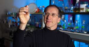 Ведущий автор необычного опыта Майкл Хект (Michael Hecht) показывает чашку Петри, в которой находятся бактерии с проектированными белками (фото Brian Wilson).