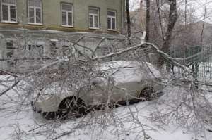 Деревья, сломленные ледяным дождем. Фото: http://www.trud.ru