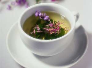 Иван-чай содержит довольно много кверцетина и кемпферола. Фото: http://www.mk.ru
