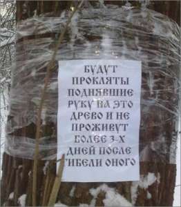 У деревьев Химкинском лесу появились защитники. Фото: http://wwf.ru