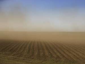 Пыльная буря над картофельным полем где-то в США (фото Getty Images).