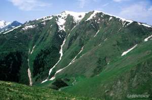 Западный Кавказ. Фото: http://www.greenpeace.org