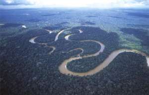 Амазония. Фото: http://forexaw.com