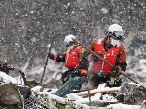 Число жертв стихии в Японии продолжает расти. Фото: Вести.Ru