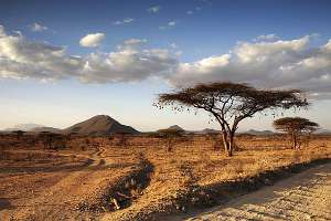 Кения, Восточная Африка. Фото Jim Shannon с сайта http://science.compulenta.ru
