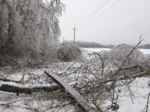 Из-за снегопада 70 населенных пунктов Подмосковья остались без света. Фото: http://www.moesk.ru