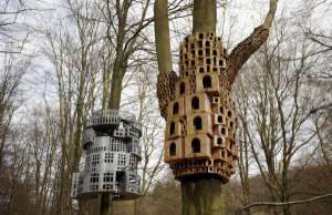 В Лондоне птицам предложили поселиться в многоквартирных скворечниках. Фото: http://www.dp.ru