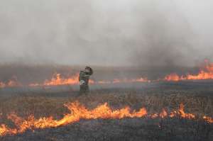 Травяные пожары. Фото: http://yandex.ru