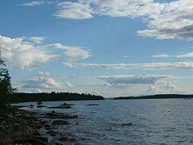 Лапландский лес. Фото: http://wikipedia.org