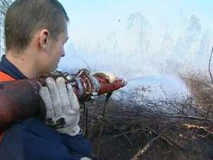 Тушение лесных пожаров. Фото: Вести.Ru