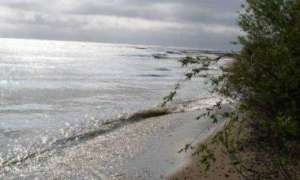 Озеро Ханка уничтожают. Фото: Дейта.Ru