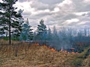 Торфяные пожары. Фото: http://www.ecolife.ru