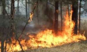 На Дальнем Востоке полыхают 19 лесных пожаров. Фото: http://deita.ru