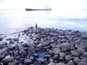 В акватории Петербургского морского порта произошел нефтяной разлив. Фото: www.rosbalt.ru