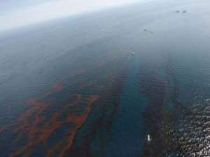 Разлив нефти 2010 года в Мексиканском заливе. Фото: http://www.topnews.ru