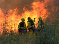 Природные пожары в США. Фото: http://newsland.ru