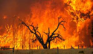 Природные пожары в Техасе. Фото: http://rus.ruvr.ru
