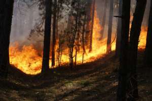 Природных пожаров в России в этом году меньше почти на 40%. Фото: http://www.tatar-inform.ru