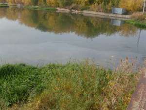 В Челябинске на реке Миасс обнаружено нефтяное пятно. Фото: Новый Регион